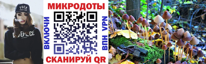 купить  сайты  Аргун  Галлюциногенные грибы ЛСД 